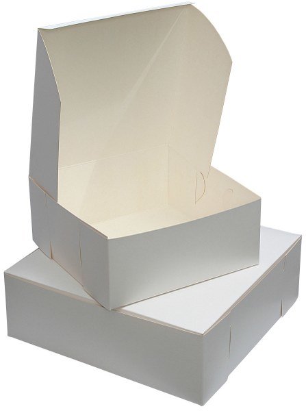 Food Plain Box(Pack of 100)