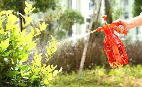 Gallon portable garden pump pressure sprayer, pressurized lawn and garden  water spray bottle for spraying plants. Gardening work and household  cleanin Stock Photo - Alamy