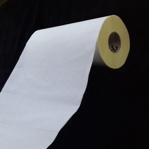 AXON Kitchen Roll 2IN1 2PLY 300Pulls (PACK OF 20)