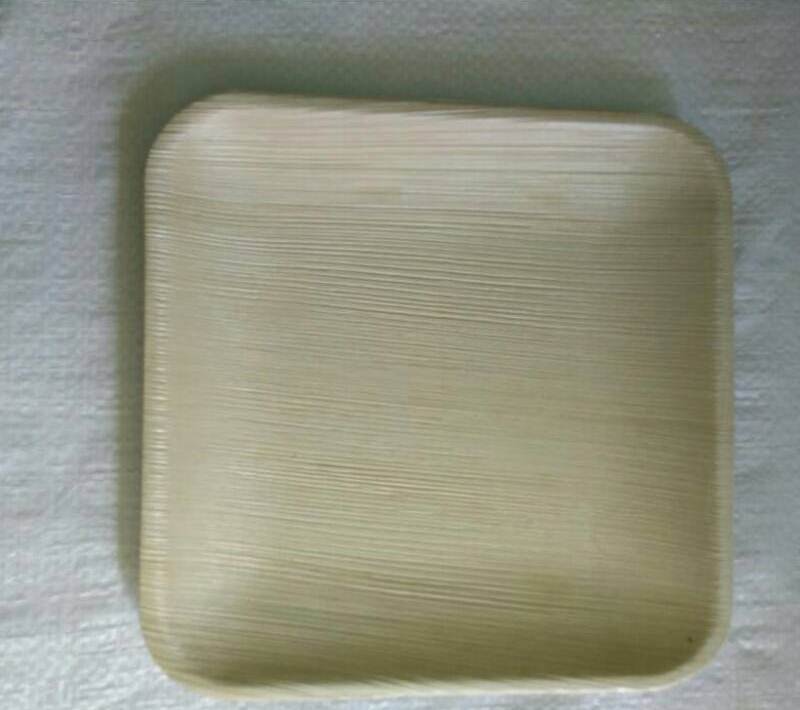 Square Plate (pack of 200)
